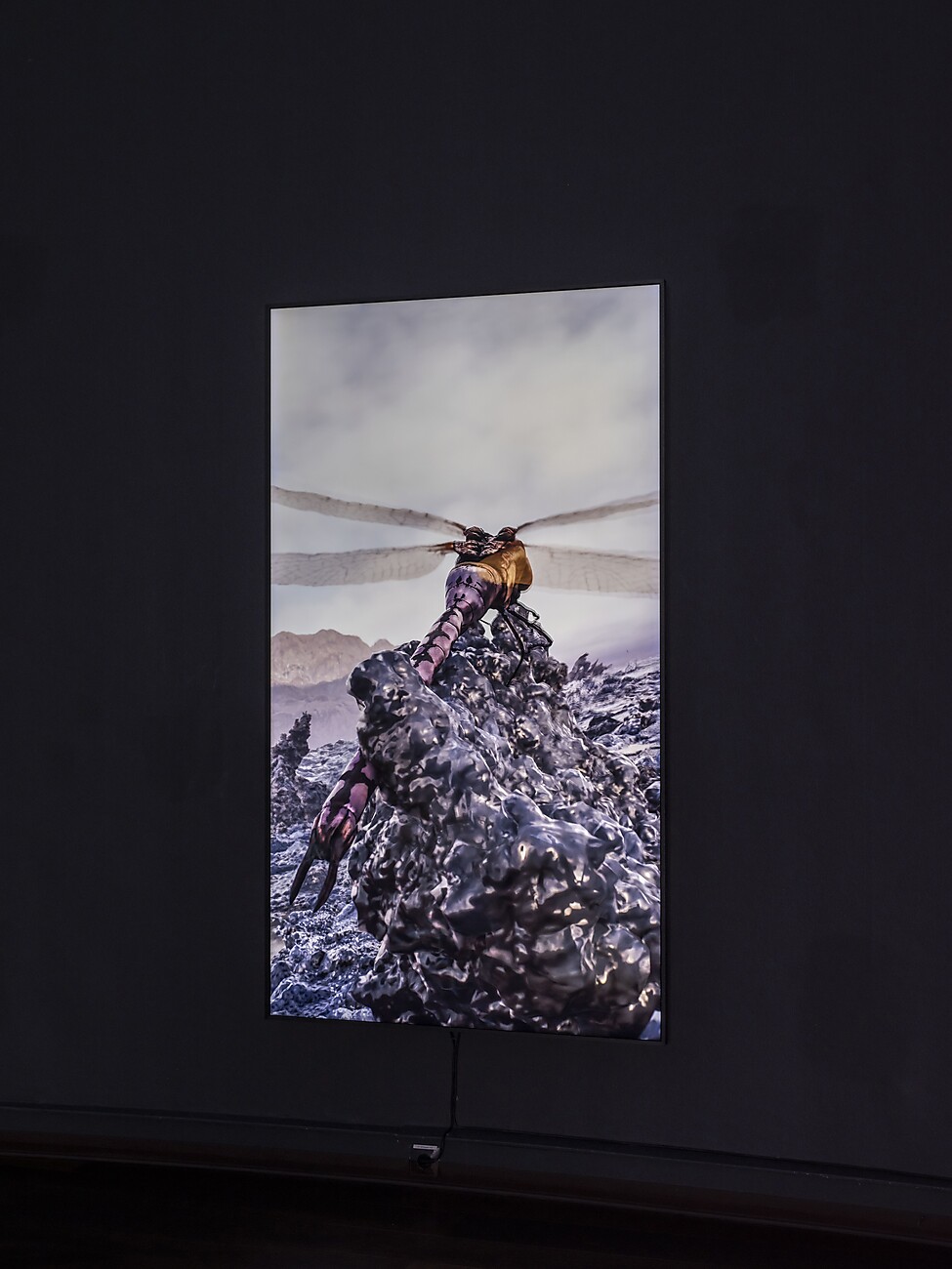 Installationsansicht_The